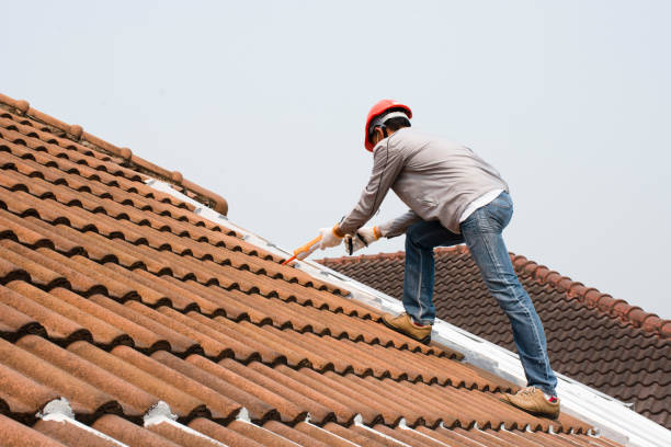 Best Cold Roofs  in Denmark, SC