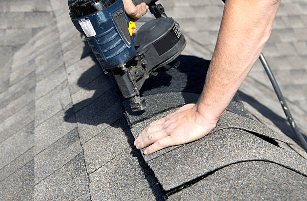 Professional Roofing service in Denmark, SC